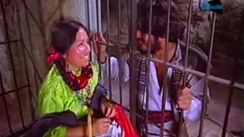 The Feathered Coyote