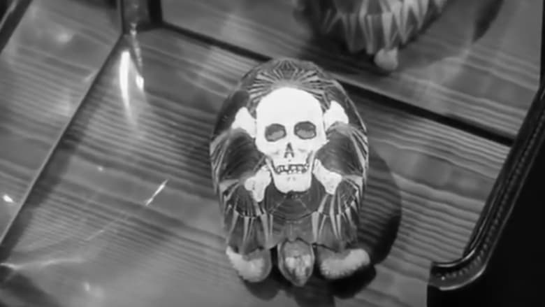 Mark of the Tortoise